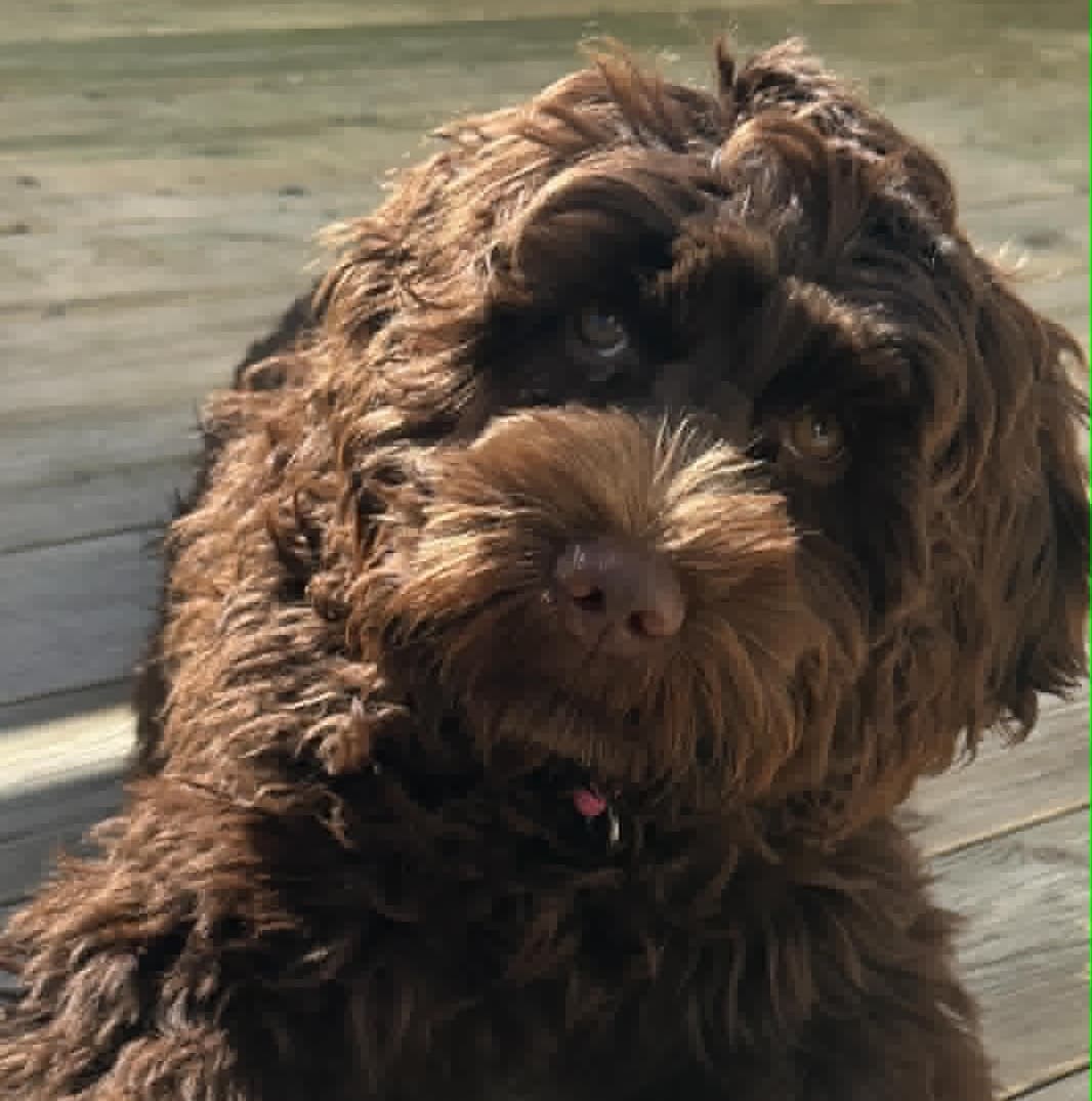 Luna