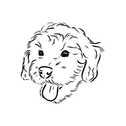 MyCobberdog