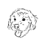 MyCobberdog