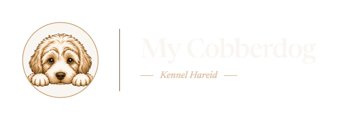 My Cobberdog — Kennel Hareid