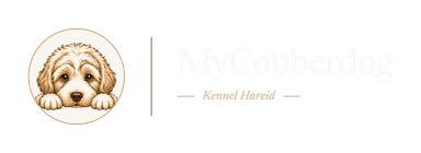 MyCobberdog — Kennel Hareid