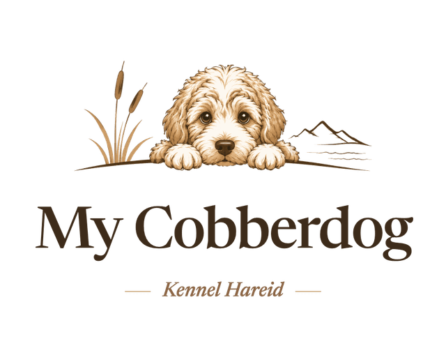 My Cobberdog — Kennel Hareid